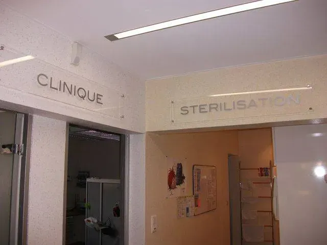 CMS PUBLICITE GALERIE (11)